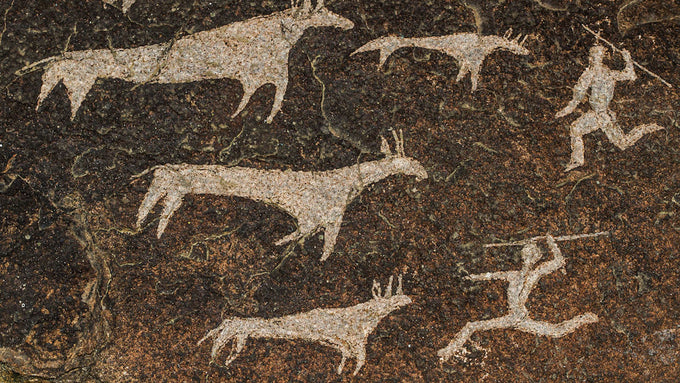  hearthstone collective kanna sceletium tortuosum mesembrine info page san cave painting of hunters and eland antelope